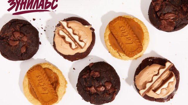 Франшиза Зунилабс