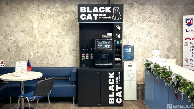 Франшиза BLACK CAT