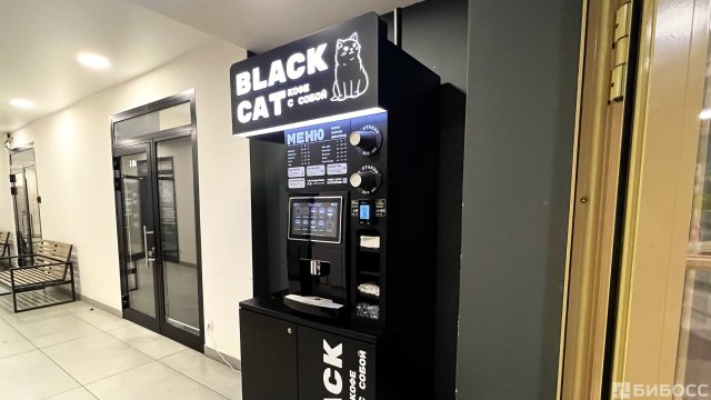 Франшиза BLACK CAT