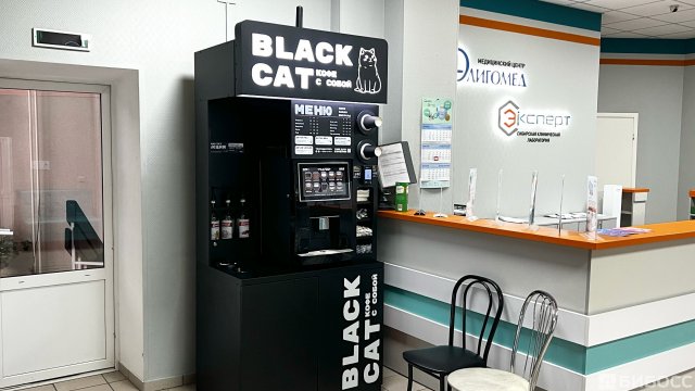 Франшиза BLACK CAT