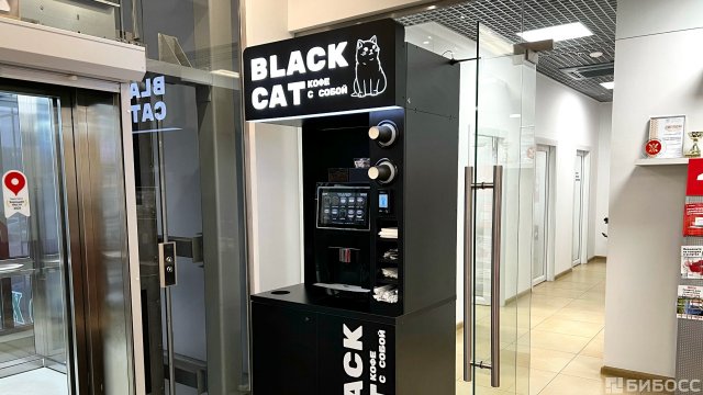 Франшиза BLACK CAT