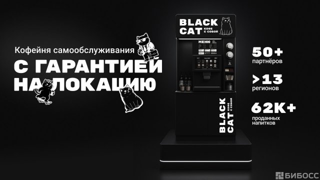 Франшиза BLACK CAT