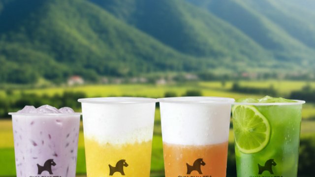 Франшиза ЧУЧУ ЧАЙ