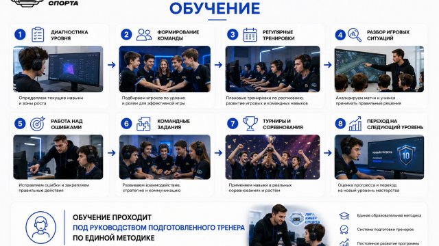 Франшиза Академия киберспорта инфографика