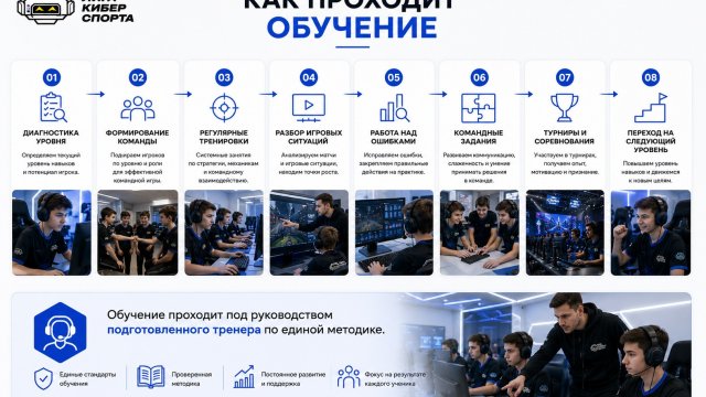Франшиза Академия киберспорта инфографика