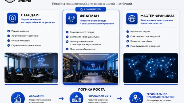 Франшиза Академия киберспорта инфографика