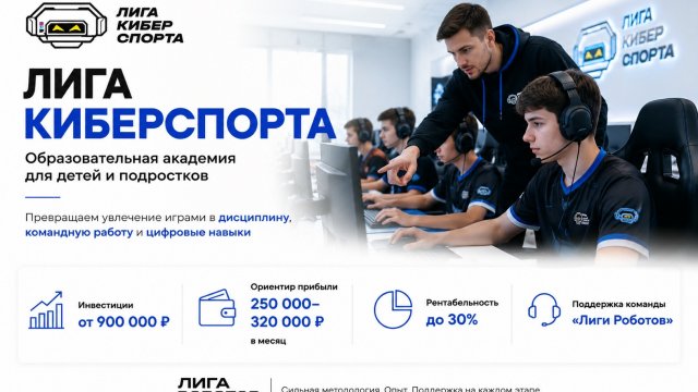 Франшиза Академия киберспорта инфографика