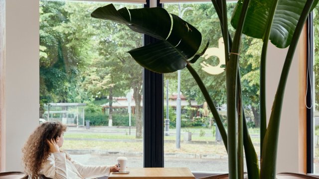 Франшиза Balance Coffee