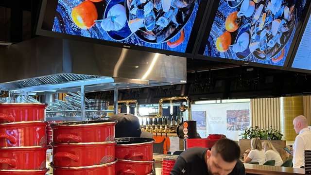 Франшиза Mollusca