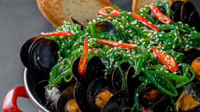 Франшиза Mollusca