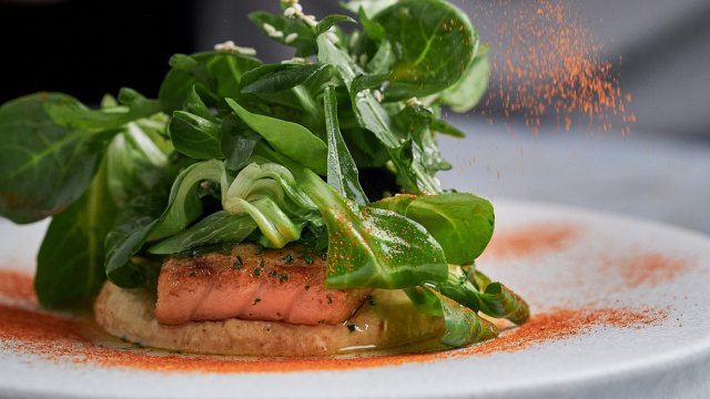 Франшиза Mollusca