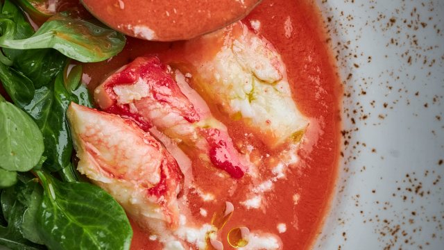 Франшиза Mollusca