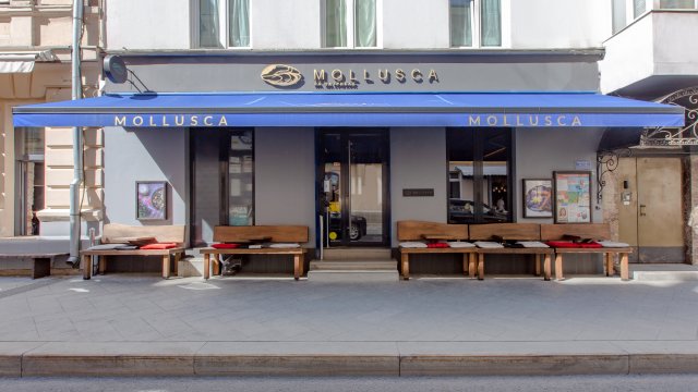 Франшиза Mollusca