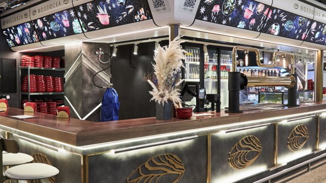 Франшиза Mollusca