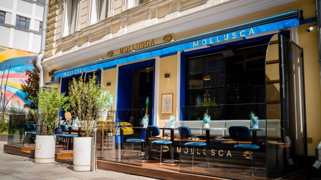 Франшиза Mollusca