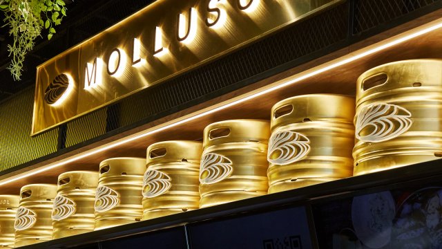 Франшиза Mollusca