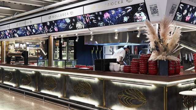 Франшиза Mollusca