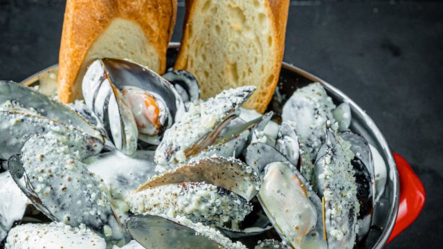 Франшиза Mollusca