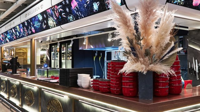 Франшиза Mollusca