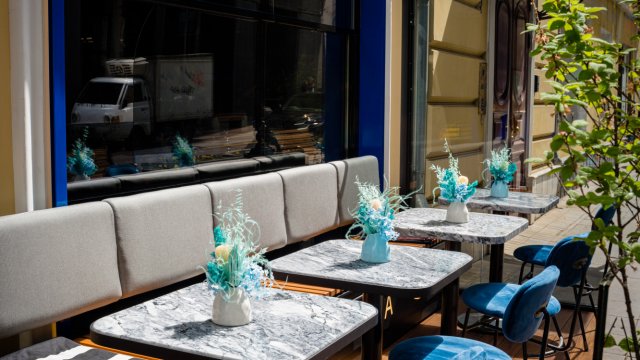 Франшиза Mollusca