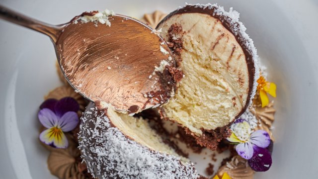 Франшиза Mollusca