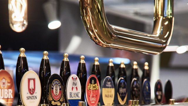 Франшиза Mollusca