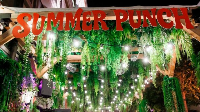 Франшиза Summer Punch