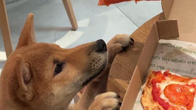 Франшиза Zotman Pizza