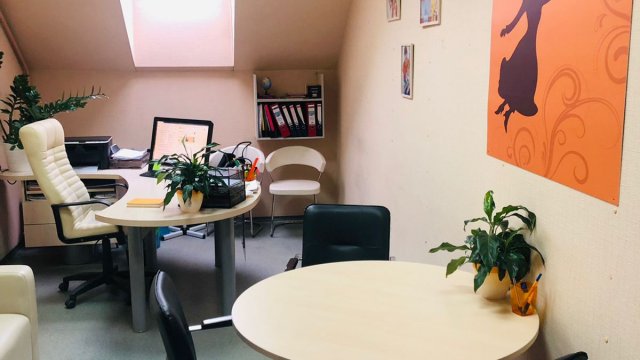 Франшиза Леди Мэри