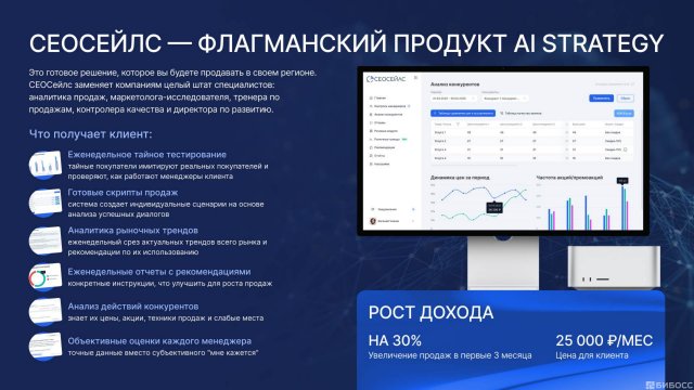 Франшиза Сео Сейлс