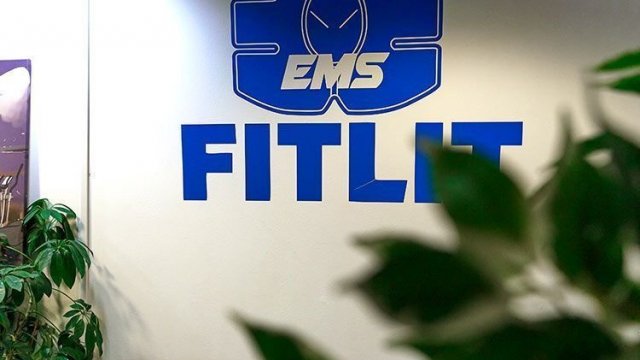 Франшиза FITLIT