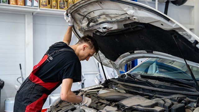 Франшиза Маслофф