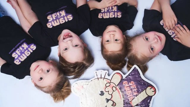 Франшиза SIGMA INC