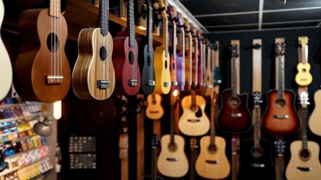 Франшиза SKIFMUSIC