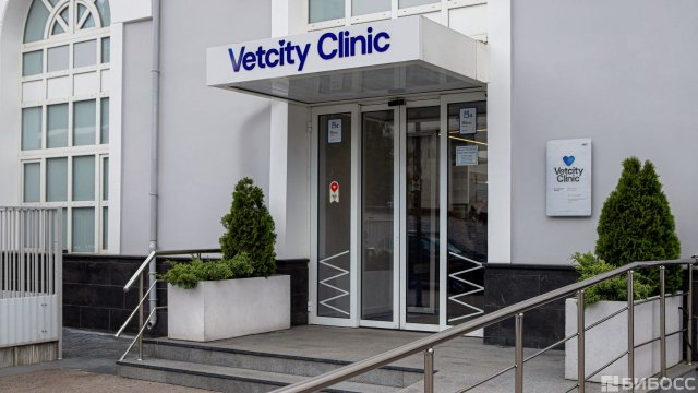 Франшиза Vetcity Clinic