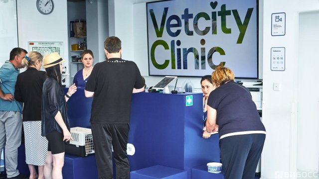 Франшиза Vetcity Clinic