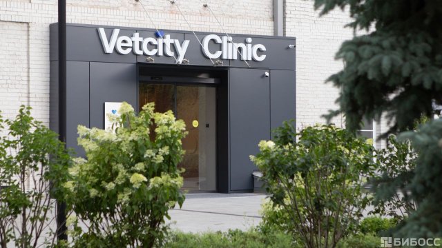 Франшиза Vetcity Clinic