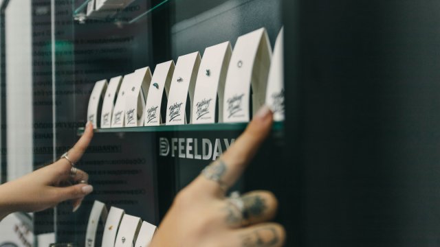 Франшиза Feel Day