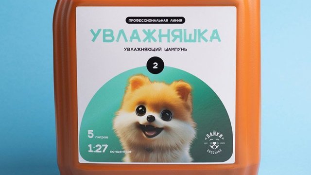 Франшиза ЛАЙКИ