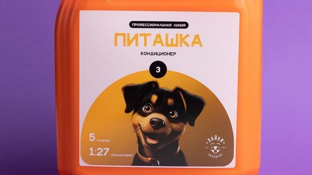Франшиза ЛАЙКИ