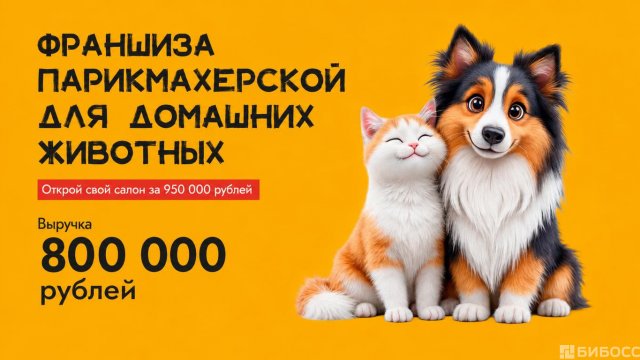 Франшиза ЛАЙКИ