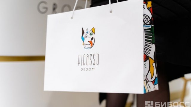Франшиза PICASSOGROOM
