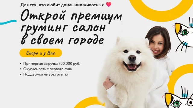 Франшиза PICASSOGROOM