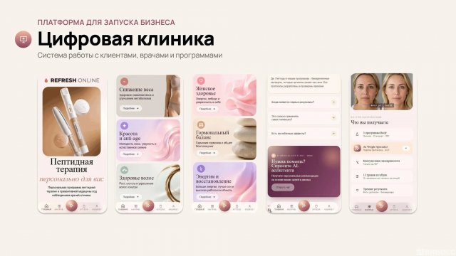 Франшиза Refresh Online