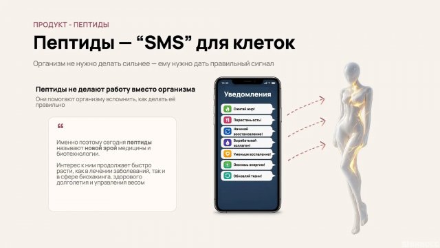 Франшиза Refresh Online