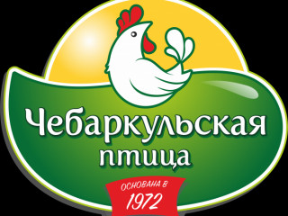 Чебаркульская птица