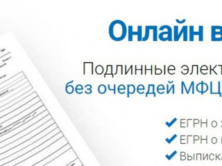 Прибыльный сервис по продаже выписок из ЕГРН и услуг в сфере недвижимости