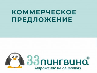 Действующая сеть 33 пингвина г.Кемерово