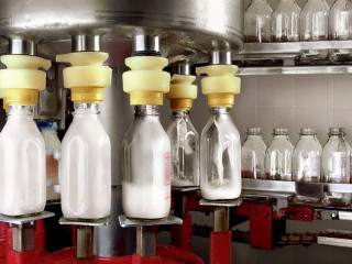 Производство молочной продукции с высокой прибылью