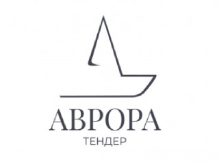 Бизнес на госзакупках (тендерах)